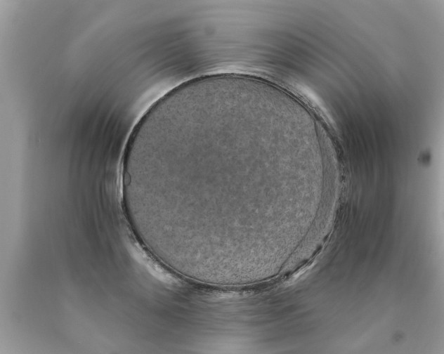 X0000089870892200707262147