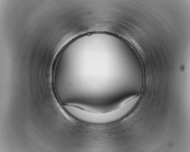 X0000089870894200707262146