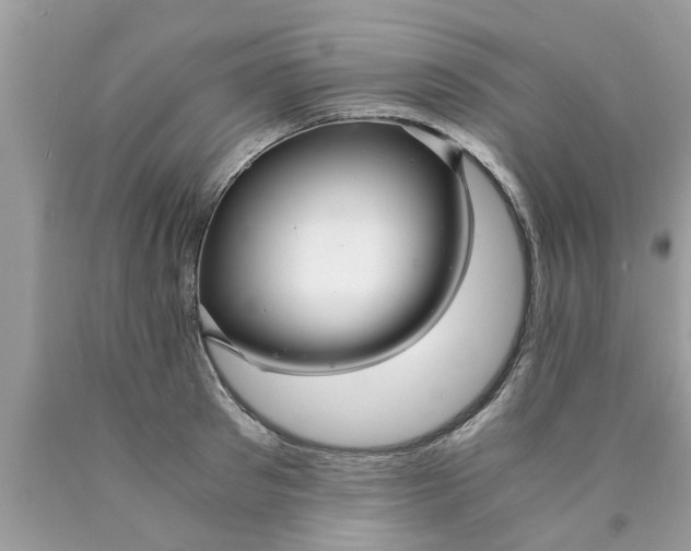 X0000089870897200707262146