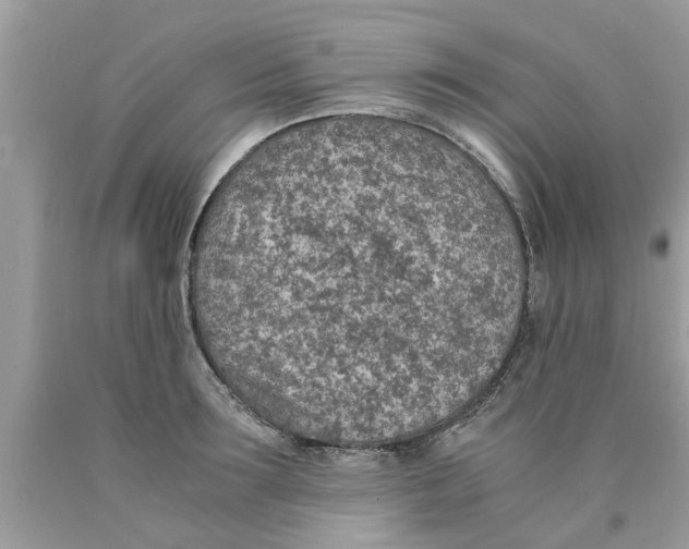 X0000089870899200707262146