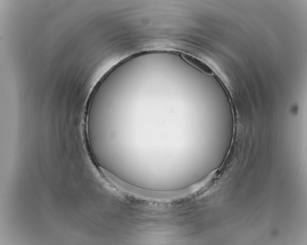 X0000089870901200707262146