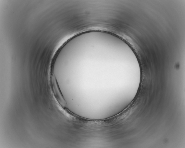 X0000089870902200707262146