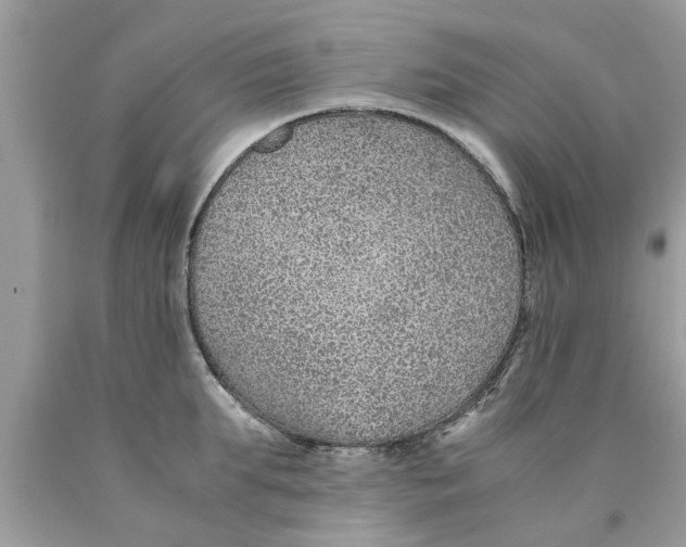 X0000089870903200707262146