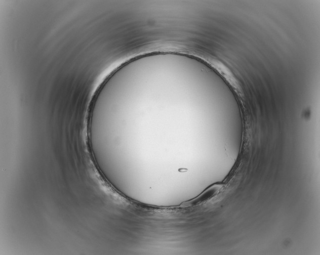 X0000089870904200707262146