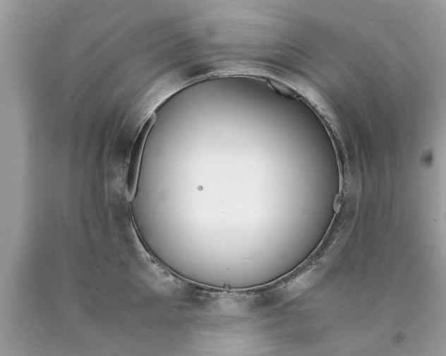 X0000089870905200707262146