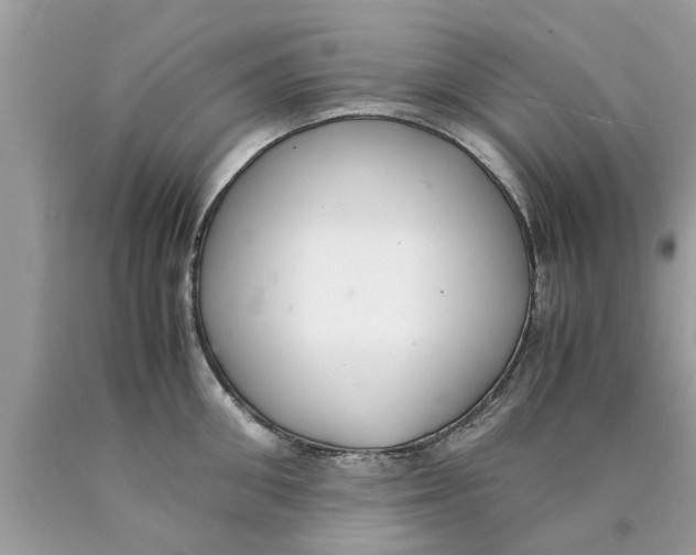 X0000089870906200707262146