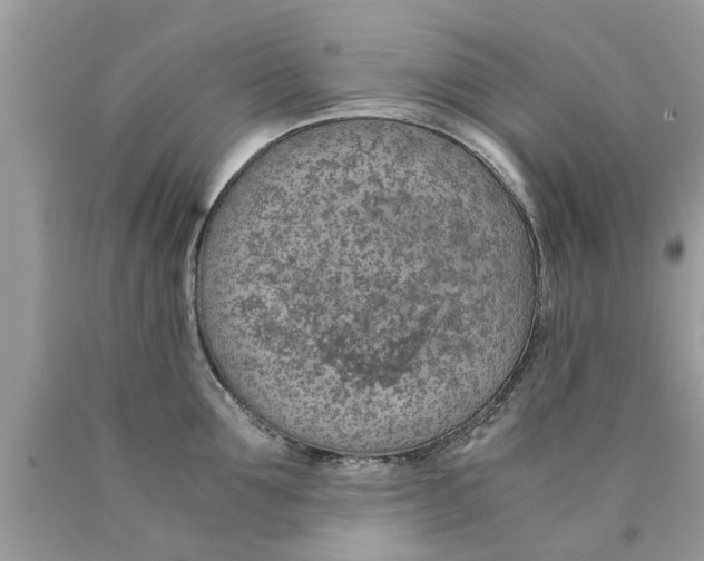 X0000089870907200707262146