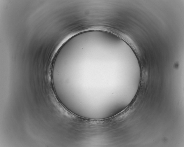 X0000089870908200707262146