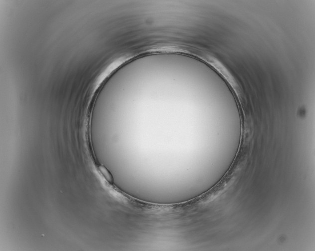 X0000089870909200707262146