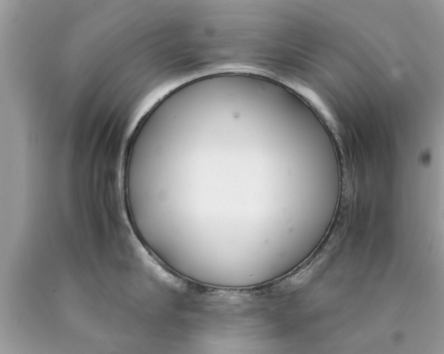 X0000089870910200707262146