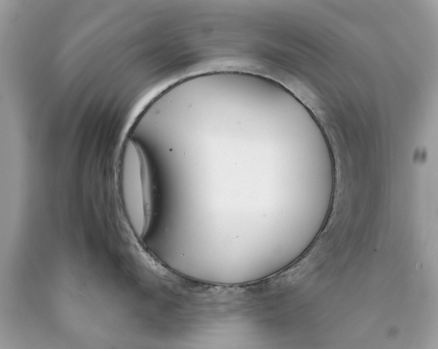 X0000089870912200707262146