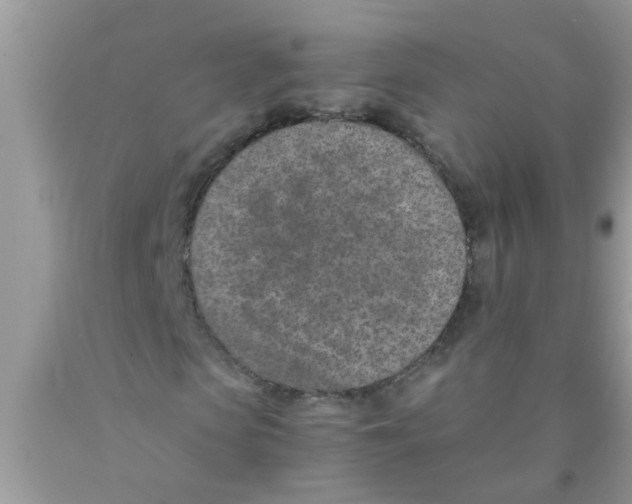 X0000089870913200707262145