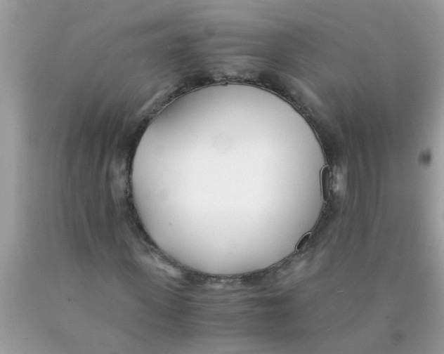X0000089870915200707262146