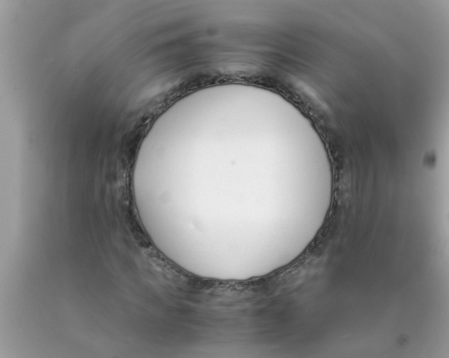 X0000089870917200707262146