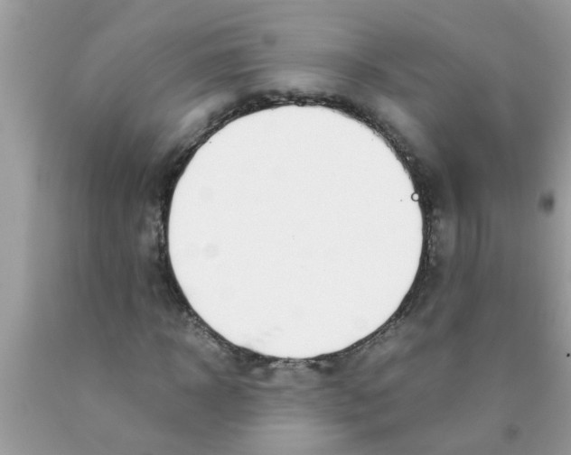 X0000089870918200707262146