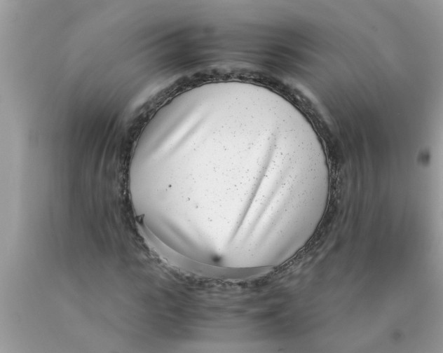 X0000089870919200707262146