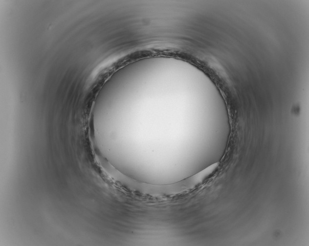 X0000089870920200707262146