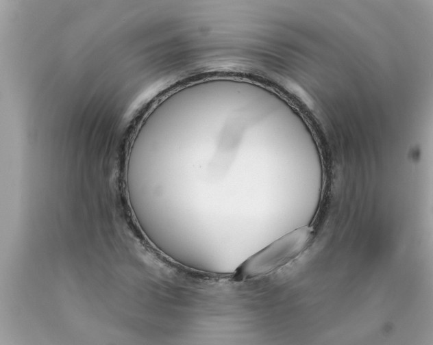X0000089870922200707262146