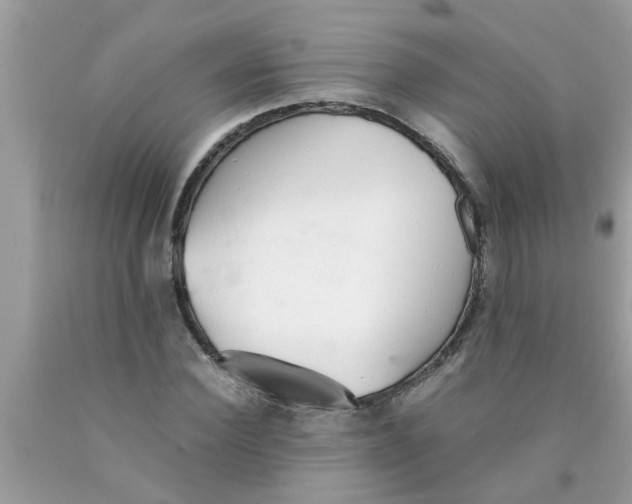 X0000089870924200707262146