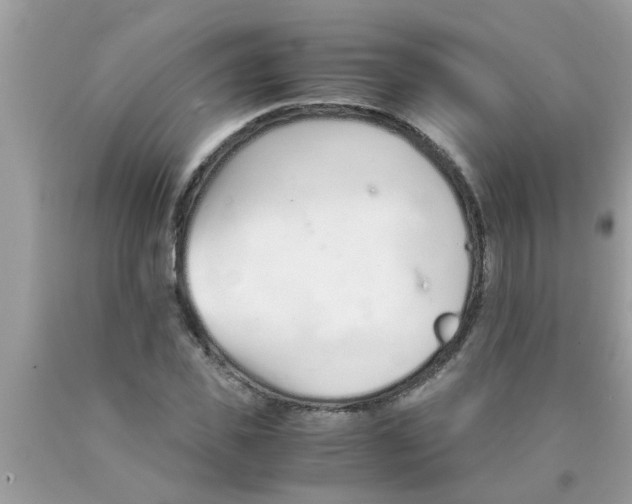 X0000089870925200707262146