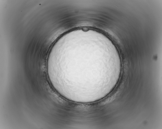 X0000089870929200707262146