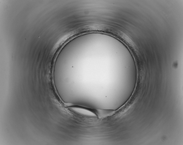 X0000089870930200707262146