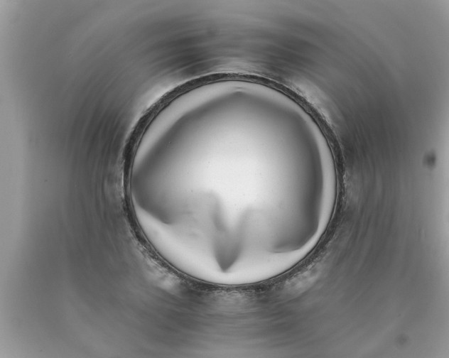 X0000089870931200707262146