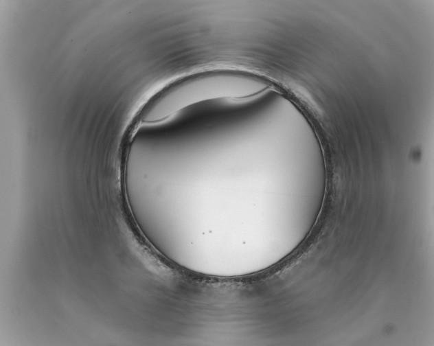 X0000089870934200707262146