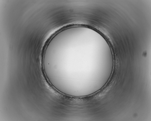 X0000089870935200707262146