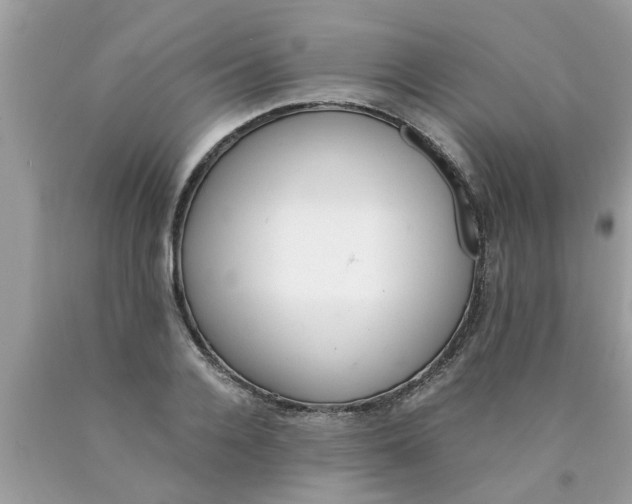X0000089870936200707262146