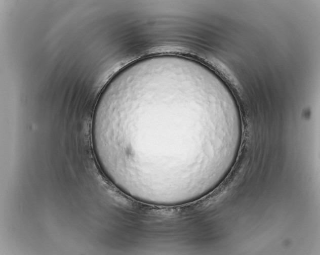 X0000089870937200707262146
