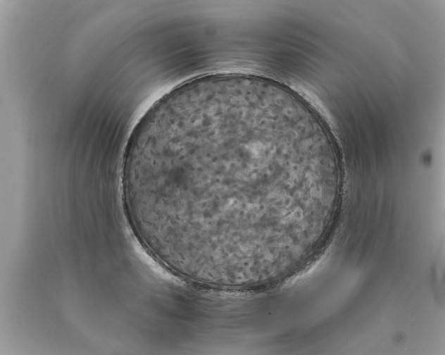 X0000089870941200707262146