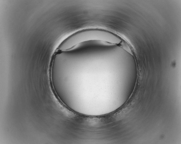 X0000089870943200707262146