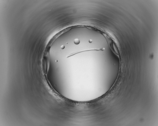 X0000089870944200707262146