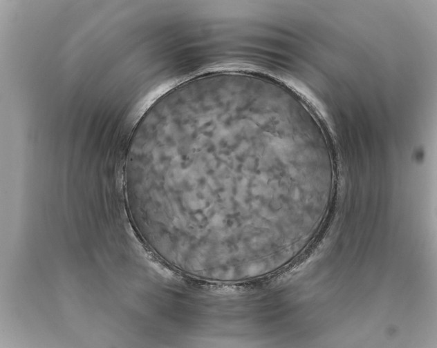 X0000089870945200707262146