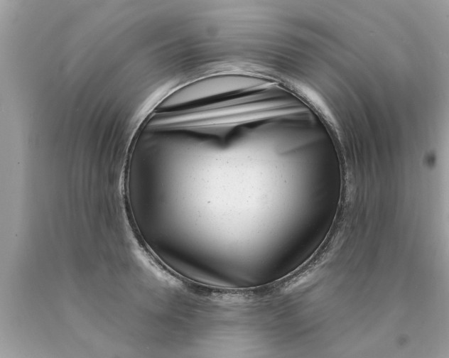 X0000089870946200707262146