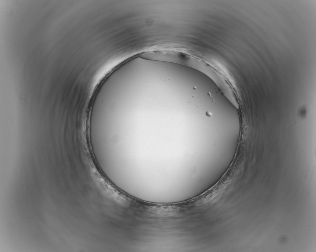 X0000089870952200707262146