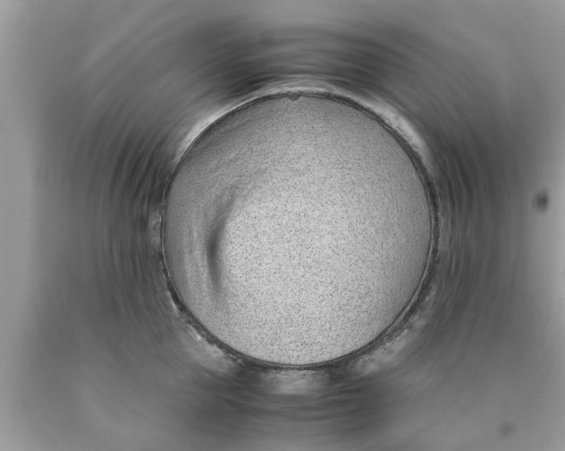 X0000089870953200707262146