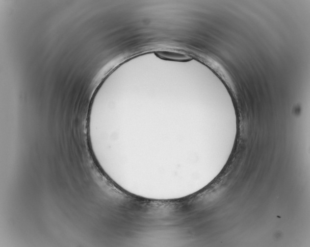 X0000089870954200707262146