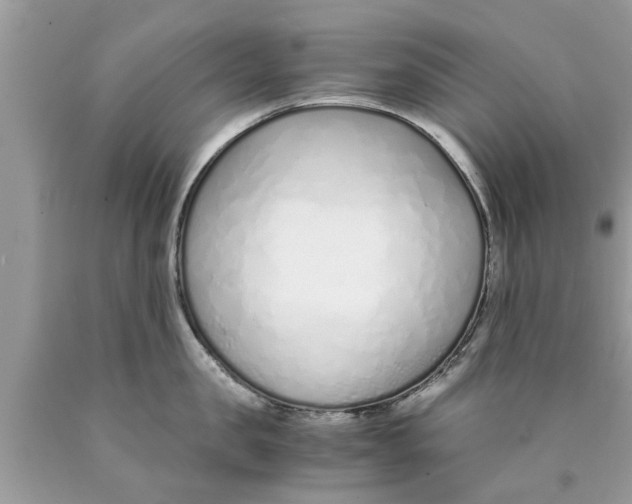 X0000089870957200707262146