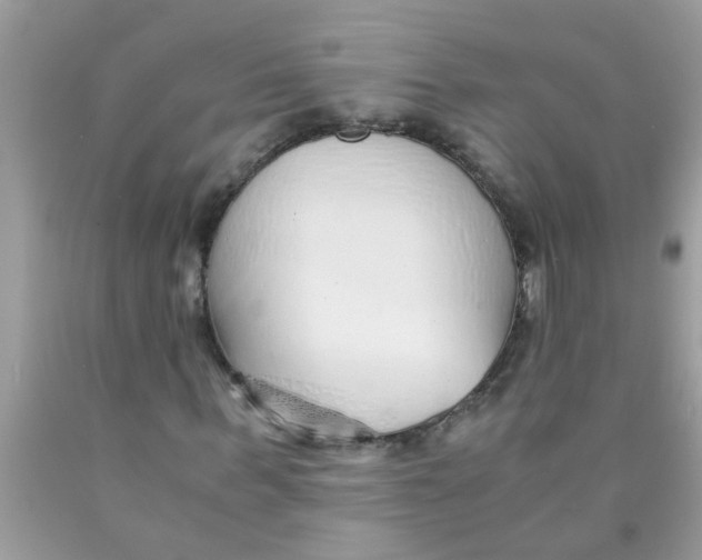 X0000089870963200707262145