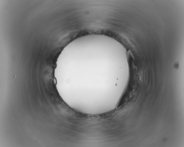 X0000089870964200707262145