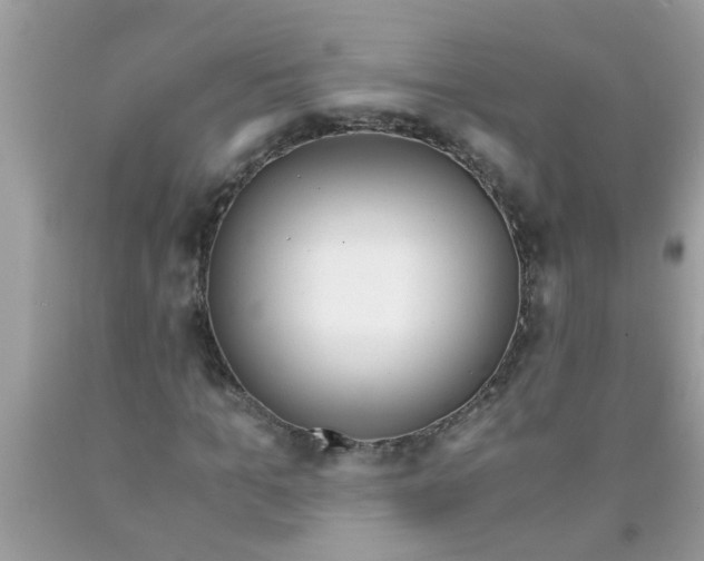 X0000089870965200707262145