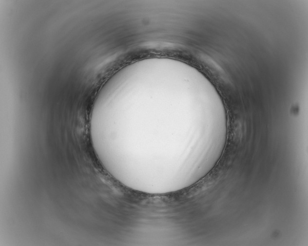 X0000089870966200707262145