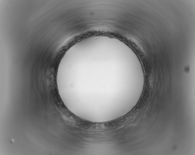X0000089870968200707262145