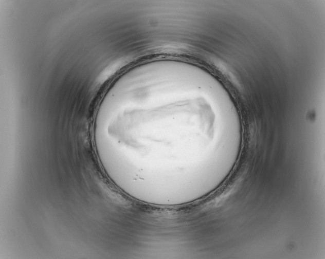 X0000089870970200707262145
