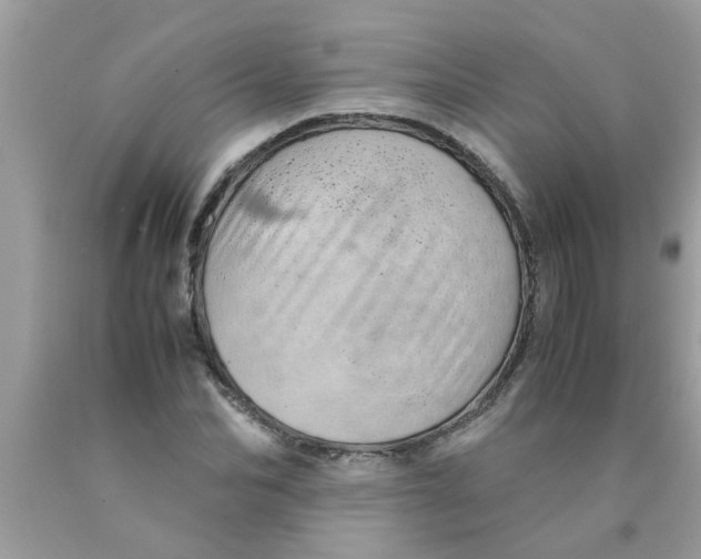 X0000089870974200707262145