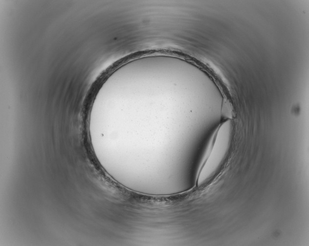 X0000089870975200707262145