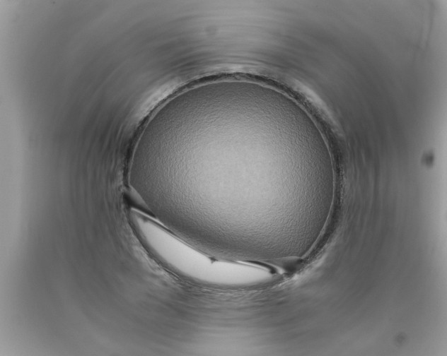 X0000089870977200707262145