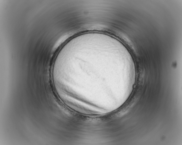 X0000089870978200707262145